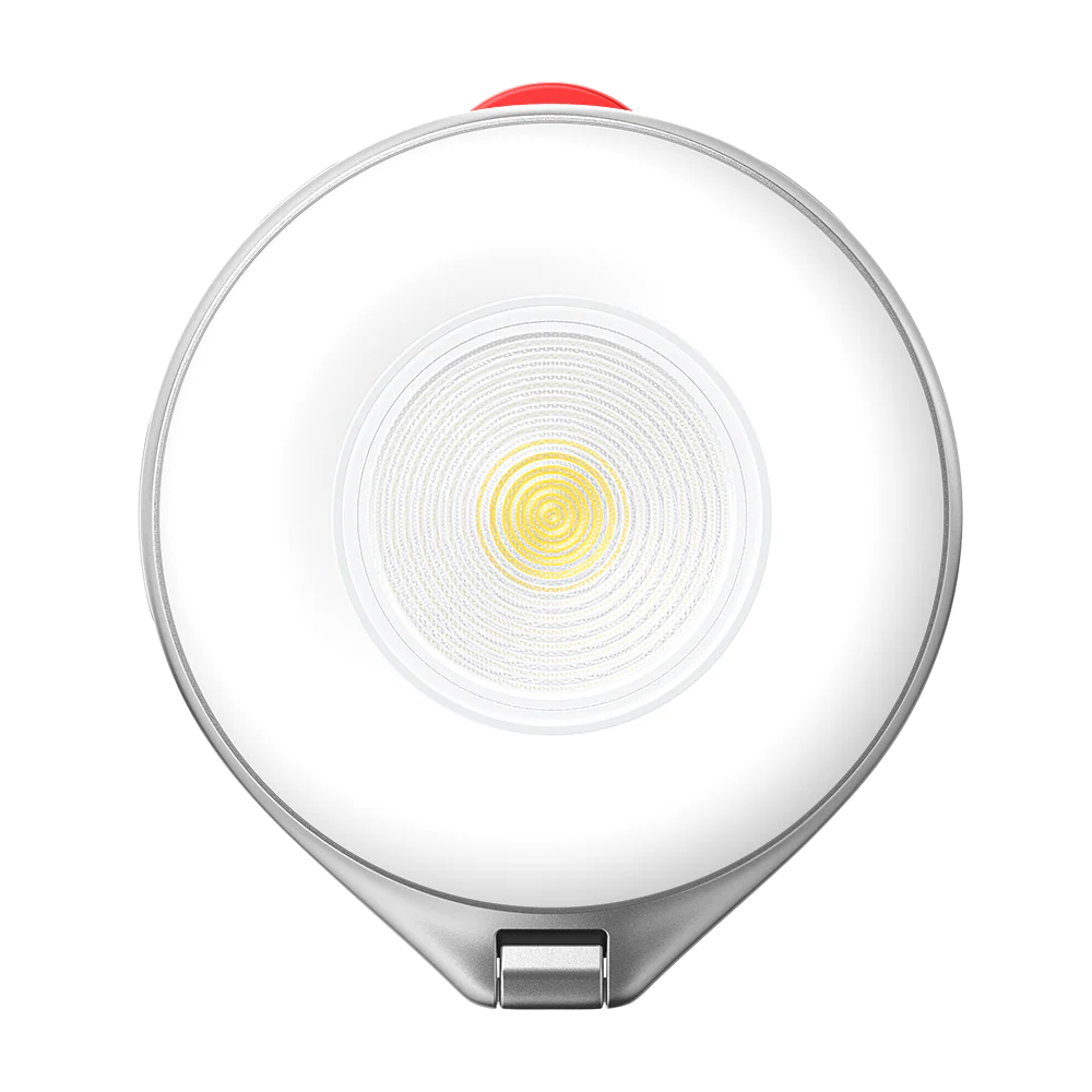 TELESIN 2 In 1 Magnetic Flashlight & Selfie Light